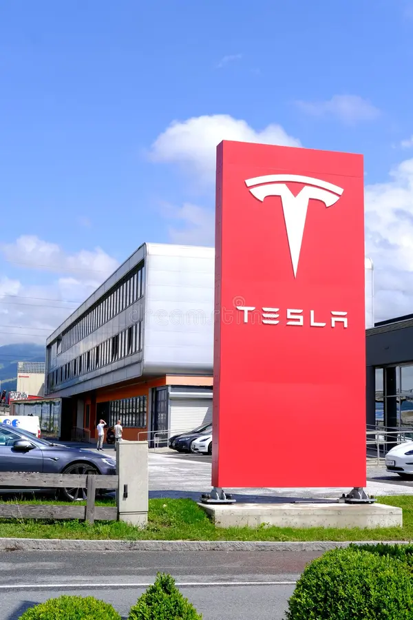 Tesla luncurkan aplikasi Robotaxi untuk pengguna