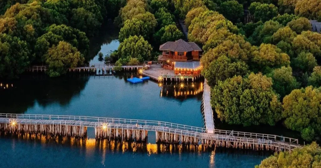 Surga Hijau di Tengah Jakarta, Taman Wisata Alam Mangrove PIK Jadi Tempat Healing Favorit