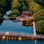 Surga Hijau di Tengah Jakarta, Taman Wisata Alam Mangrove PIK Jadi Tempat Healing Favorit