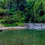 Bukit Lawang Jadi Surga Wisata Alam, Tempat Favorit Melihat Orangutan Sumatera