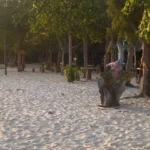 Pantai Dinda Jadi Surga Sunset Favorit Wisatawan, Pasir Putihnya Cocok untuk Liburan Keluarga
