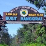 Bukit Bangkirai: Petualangan Seru di Atas Hutan Hujan Tropis Kalimantan