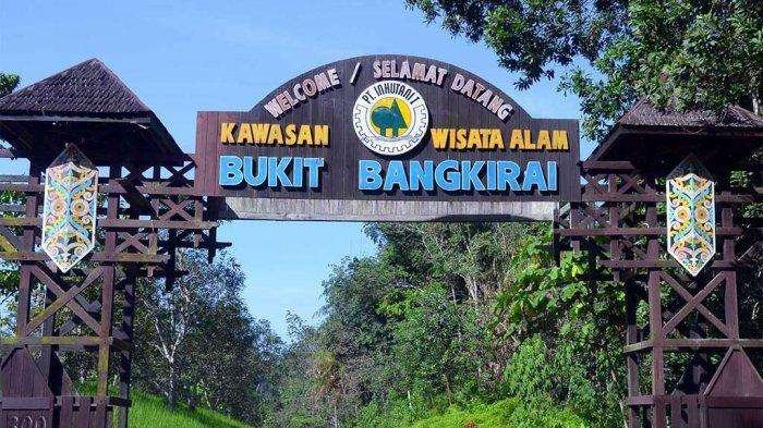 Bukit Bangkirai: Petualangan Seru di Atas Hutan Hujan Tropis Kalimantan