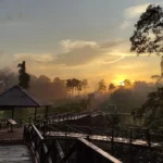 TAMAN NASIONAL KUTAI: Rumah Orangutan Liar di Jantung Kalimantan