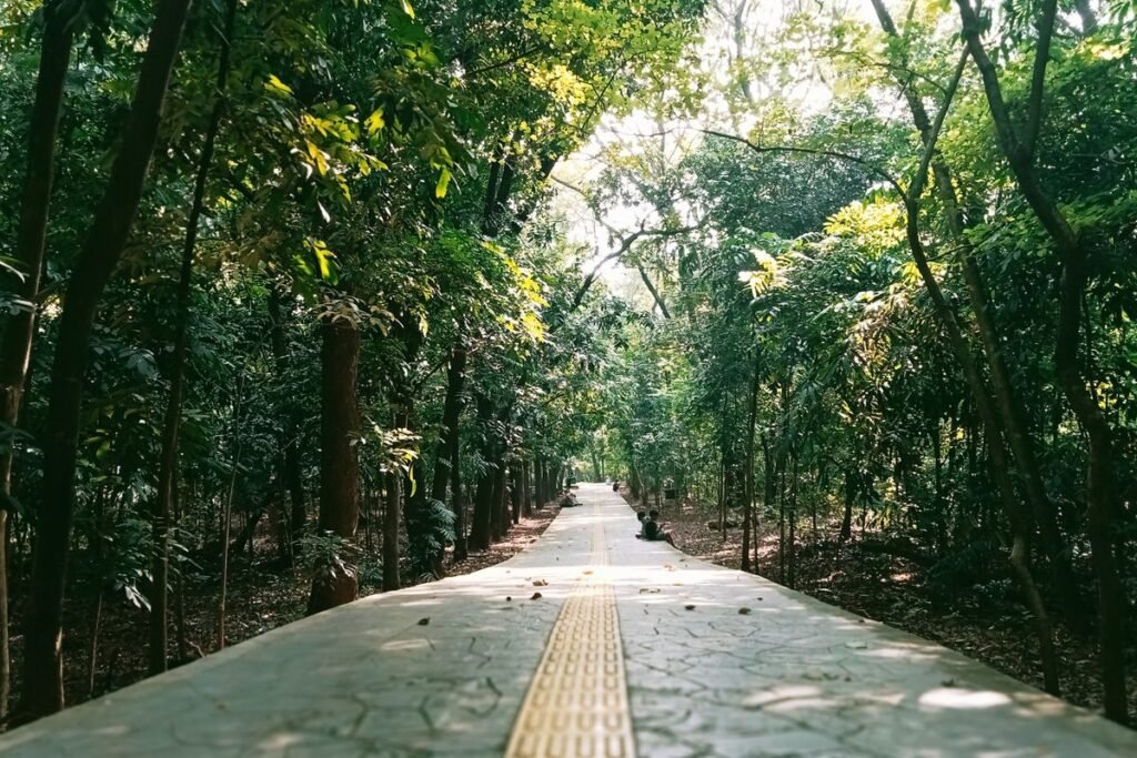 Hutan Kota Srengseng Jadi Tempat Healing Favorit Warga Jakarta di Tengah Hiruk Pikuk Kota