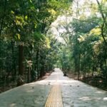 Hutan Kota Srengseng Jadi Tempat Healing Favorit Warga Jakarta di Tengah Hiruk Pikuk Kota