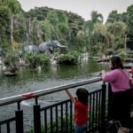 Kebun Binatang Ragunan Tetap Jadi Destinasi Wisata Edukasi Favorit Keluarga di Jakarta