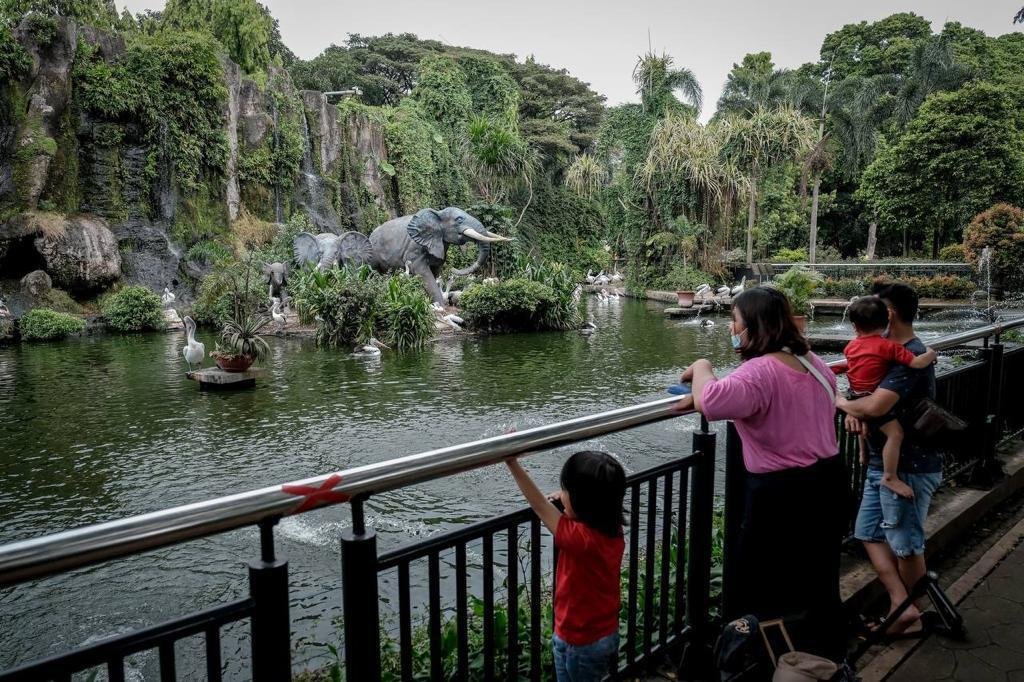 Kebun Binatang Ragunan Tetap Jadi Destinasi Wisata Edukasi Favorit Keluarga di Jakarta