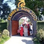 Jember Mini Zoo, Destinasi Wisata Keluarga Edukatif yang Seru dan Menyenangkan