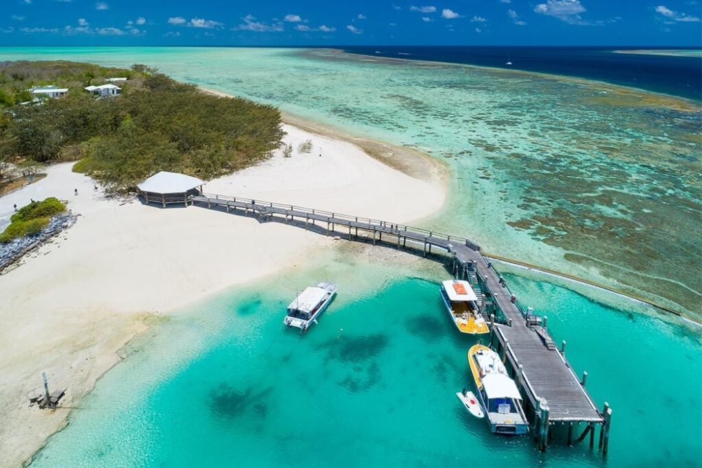 Great Barrier Reef, Keajaiban Laut Terbesar di Dunia