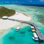 Great Barrier Reef, Keajaiban Laut Terbesar di Dunia