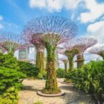 Gardens by the Bay, Taman Futuristik Ikonik dengan Supertree Grove di Singapura