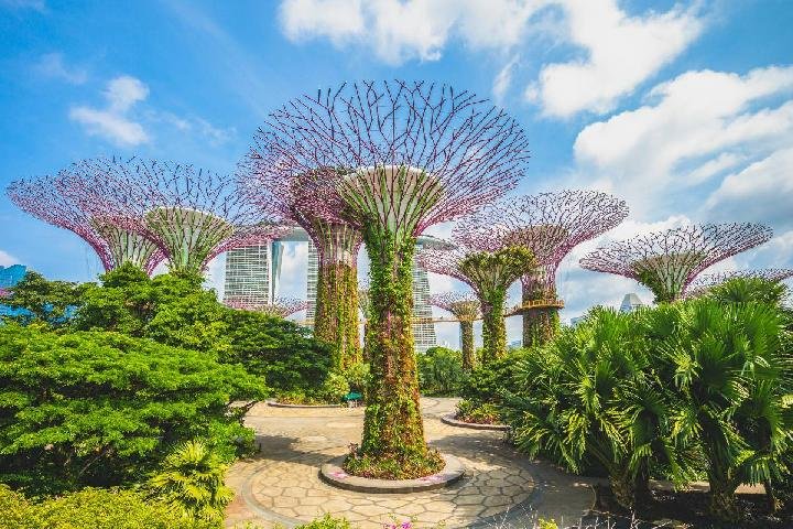 Gardens by the Bay, Taman Futuristik Ikonik dengan Supertree Grove di Singapura
