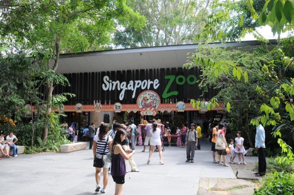 Singapore Zoo, Kebun Binatang Open Zoo Terbaik Dunia di Singapura