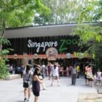 Singapore Zoo, Kebun Binatang Open Zoo Terbaik Dunia di Singapura