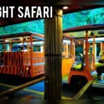 Night Safari Singapura, Safari Malam Pertama di Dunia yang Tawarkan Pengalaman Unik