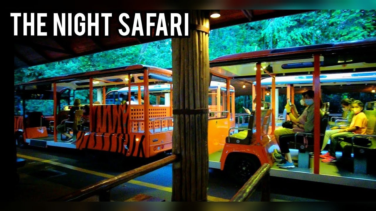 Night Safari Singapura, Safari Malam Pertama di Dunia yang Tawarkan Pengalaman Unik