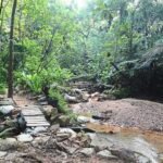 Bukit Gasing Forest Reserve, Surga Trekking yang Menawarkan Keindahan Hutan Tropis di Kuala Lumpur