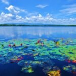 Danau Dendam Tak Sudah, Surga Alam Bengkulu yang Memikat Pecinta Fotografi dan Wisatawan