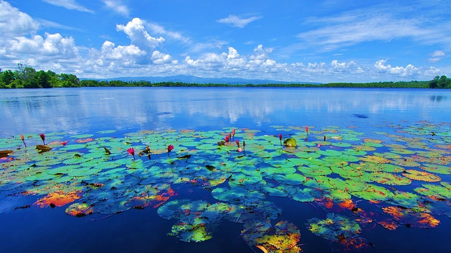 Danau Dendam Tak Sudah, Surga Alam Bengkulu yang Memikat Pecinta Fotografi dan Wisatawan