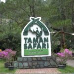 Taman Safari Indonesia Bogor, Destinasi Wisata Edukasi dan Konservasi Satwa