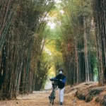 Hutan Bambu Keputih, Oase Hijau dengan Suasana Asri di Surabaya