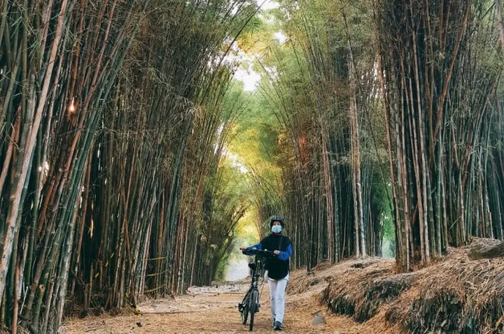 Hutan Bambu Keputih, Oase Hijau dengan Suasana Asri di Surabaya