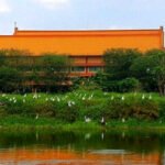 Cemara Asri Bird Park, Surga Wisata Keluarga dan Pecinta Burung di Medan