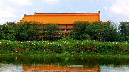 Cemara Asri Bird Park, Surga Wisata Keluarga dan Pecinta Burung di Medan