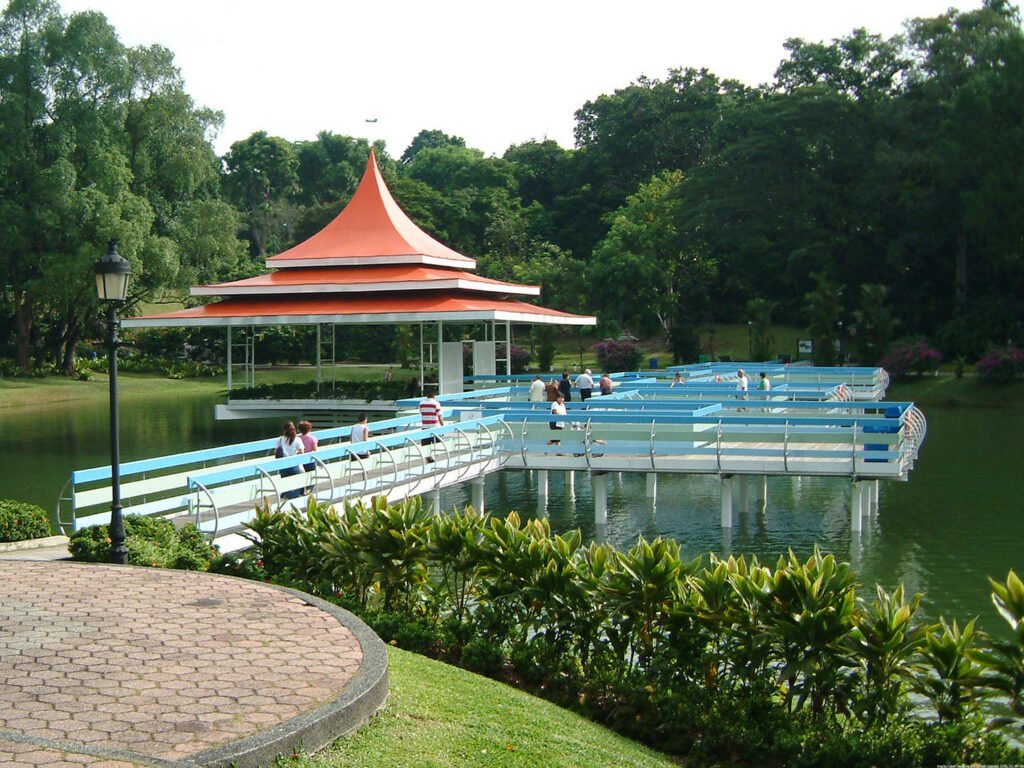 MacRitchie Reservoir Park, Destinasi Wisata Alam Favorit untuk Menikmati Hutan Tropis Singapura