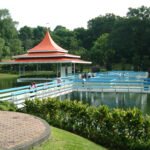 MacRitchie Reservoir Park, Destinasi Wisata Alam Favorit untuk Menikmati Hutan Tropis Singapura