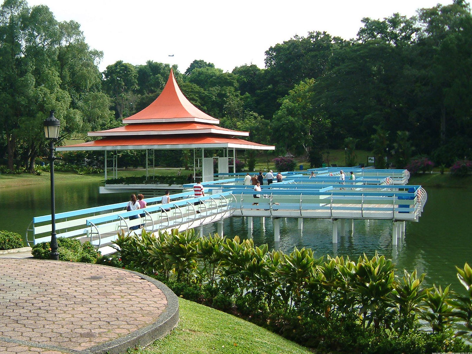MacRitchie Reservoir Park, Destinasi Wisata Alam Favorit untuk Menikmati Hutan Tropis Singapura