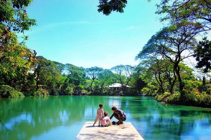 Kebun Bibit Wonorejo, Ruang Hijau Asri untuk Rekreasi dan Edukasi di Surabaya