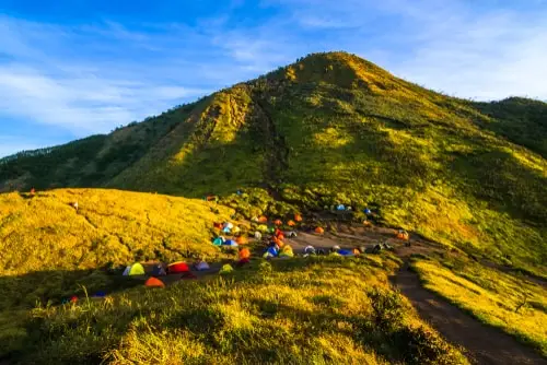Taman Nasional Gunung Merbabu, Destinasi Alam Favorit dengan Panorama Pegunungan yang Menakjubkan