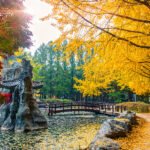Nami Island, Pulau Romantis Ikonik Korea Selatan