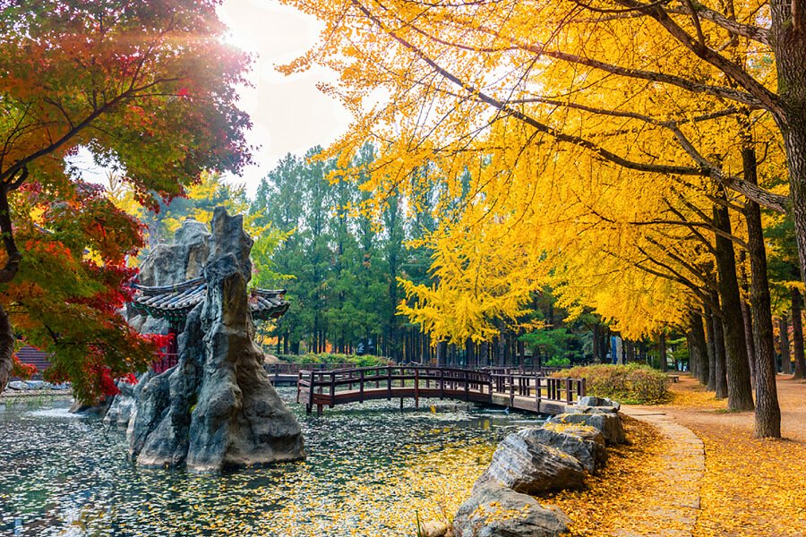 Nami Island, Pulau Romantis Ikonik Korea Selatan