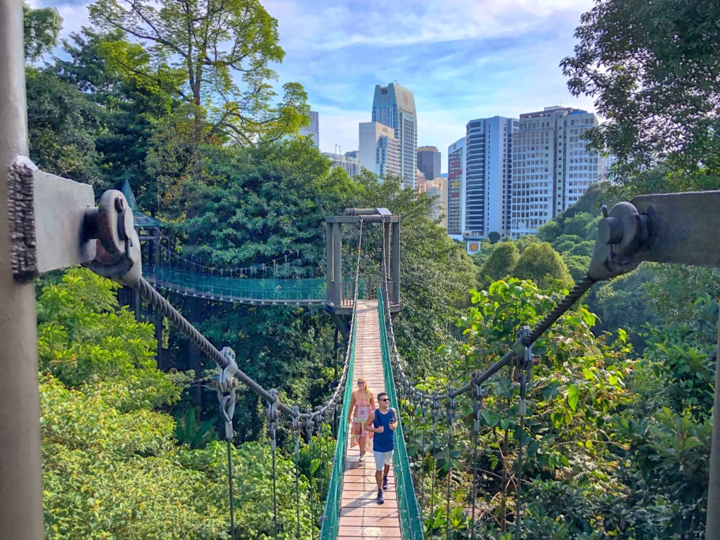 KL Forest Eco Park, Hutan Tropis di Tengah Gemerlap Kota Kuala Lumpur