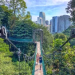KL Forest Eco Park, Hutan Tropis di Tengah Gemerlap Kota Kuala Lumpur