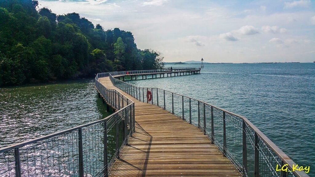 Pulau Ubin, Surga Alam Tersembunyi yang Menawarkan Suasana Pedesaan di Singapura