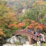 Seoraksan National Park, Keindahan Pegunungan Ikonik Korea Selatan yang Memukau