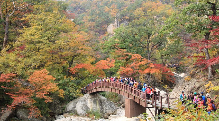 Seoraksan National Park, Keindahan Pegunungan Ikonik Korea Selatan yang Memukau