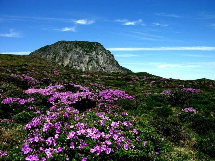 Hallasan National Park, Keindahan Gunung Tertinggi di Korea Selatan