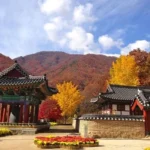 Jirisan National Park, Taman Nasional Terbesar di Korea Selatan
