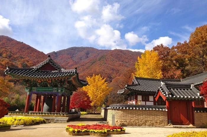 Jirisan National Park, Taman Nasional Terbesar di Korea Selatan